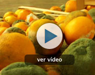 El escándalo del derroche alimentario El escándalo del derroche alimentario