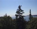 Ir al Video&nbsp;El escarabajo verde - Acadia National Park, en Estados Unidos