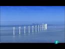 Ir al Video&nbsp;El escarabajo verde - Contra viento y marea