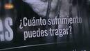 El escarabajo verde - Rebeli&oacute;n en la granja - Ver ahora