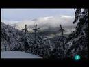 Ir al Video&nbsp;El escarabajo verde - Sierra amada, sierra atada