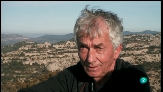 Ver v&iacute;deo  'El escarabajo verde - Viento en contra'