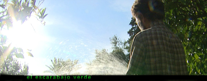El escarabajo verde