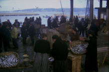 Escenaenelpuerto Escenaenelpuerto