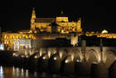 ESPA&Ntilde;A CELEBRA LA HORA DEL PLANETA 2012