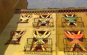 Ver v&iacute;deo  'Espa&ntilde;a Directo - Viven acosados por las palomas'
