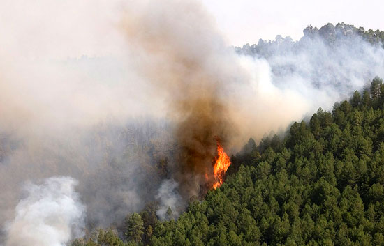 El intenso calor de estos d&iacute;as provoca numerosos incendios en la Pen&iacute;nsula