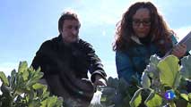 Ir al Video&nbsp;Espa&ntilde;a es el primer pa&iacute;s de la UE en superficie dedicada a agricultura ecol&oacute;gica