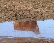 Espa&ntilde;a es uno de los pa&iacute;ses que m&aacute;s subvenciones agrarias recibe