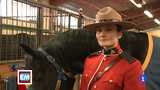 Ir al Video&nbsp;Espa&ntilde;oles en el mundo - Ottawa