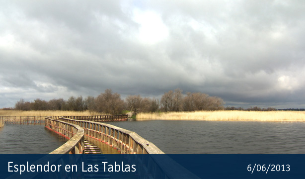 Esplendor en Las Tablas