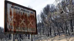 Ver v&iacute;deo  'Estabilizaci&oacute;n del incendio en Valencia'