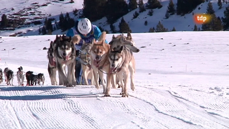 Pirena 2012 - Etapa 15 - 05/02/12