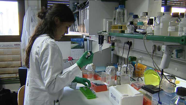 Cinco de cada diez espa&ntilde;oles considera que la &eacute;tica no es un obst&aacute;culo para la ciencia