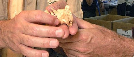 Ir al Video&nbsp;El europeo m&aacute;s viejo viv&iacute;a en Atapuerca