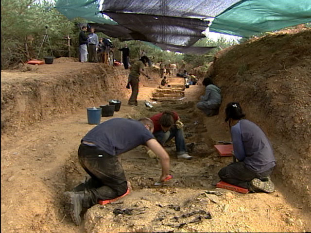 Exhumados m&aacute;s de 80 cad&aacute;veres en la fosa de La Pedraja