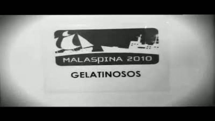 Ir al Video&nbsp;La Expedici&oacute;n Malaspina estudia los animales gelatinosos