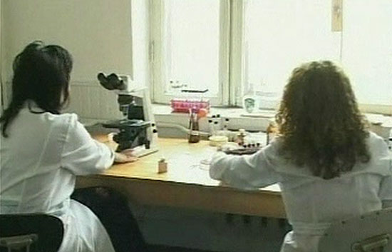 No hay peligro de contagio de la gripe porcina en Espa&ntilde;a