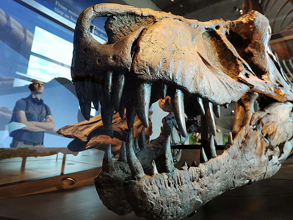 EXPOSICI&Oacute;N DE DINOSAURIOS EN LOS ANGELES