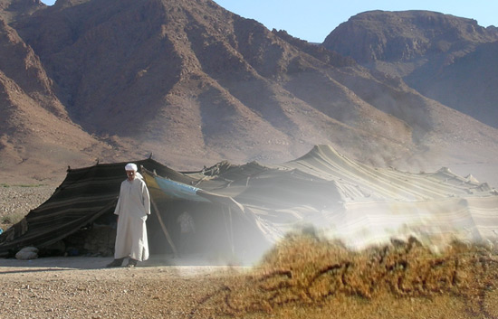 Azahar - Una f&aacute;bula del desierto