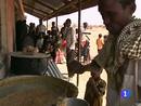 Ir al Video&nbsp;La FAO hace un llamamiento de ayuda urgente para el Cuerno de &Aacute;frica