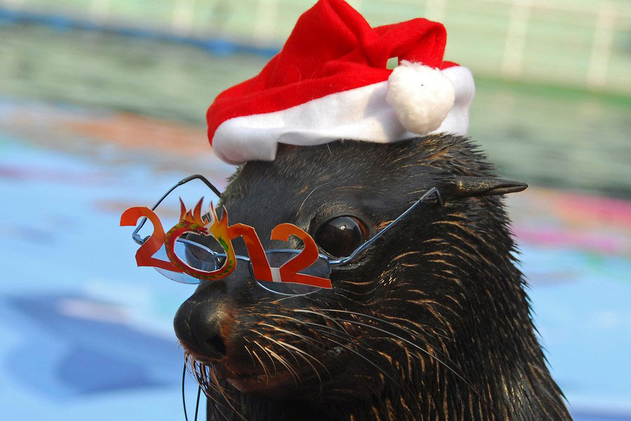 &iexcl;&iexcl;&iexcl;Feliz 2012!!!