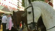 Ir al Video&nbsp;La Feria de Abril de Sevilla se prepara para una gran afluencia este fin de semana