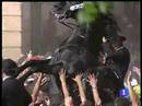 Ir al Video&nbsp;Fiestas de San Juan en Ciutadella, Menorca