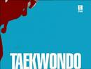 Ir al Video&nbsp;Final Taekwondo