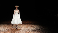 Flores para McQueen Flores para McQueen