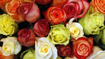 Ir al Video&nbsp;Las flores, regalo estrella de San Valent&iacute;n, aunque en crisis