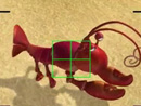 Imagen del  v&iacute;deo de Bucea Olly en ingl&eacute;s titulado FOLLOW THAT LOBSTER