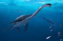 Reconstrucci&oacute;n de un plesiosaurio