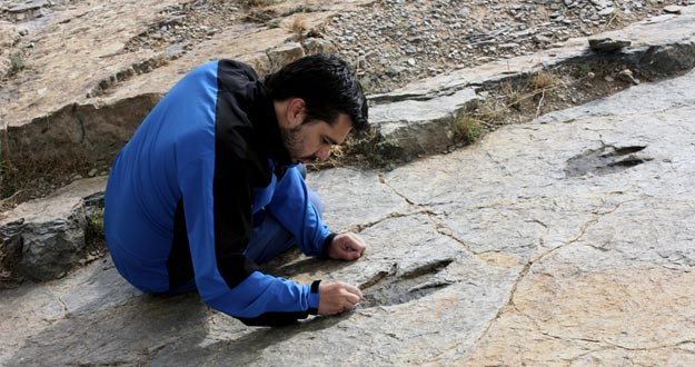 Fotografía facilitada por el investigador Ignacio Díaz que ha identificado en varios yacimientos riojanos la huella de un dinosaurio bípedo.