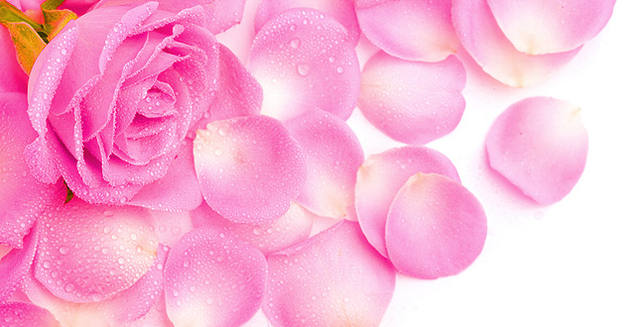 Rosas, fresas y champ&aacute;n para celebrar San Valent&iacute;n con MasterChef