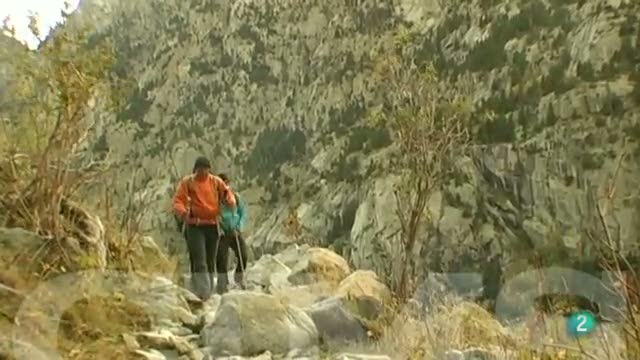 CIMS - Francesc Torralba - Punta Alta