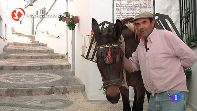 Conectando Espa&ntilde;a - Frigiliana y Riglos