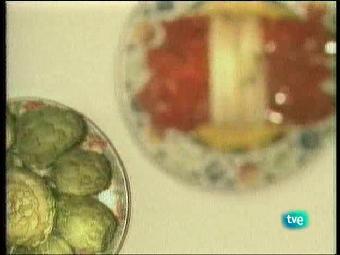 A pedir de boca - Frutas tropicales M&aacute;laga 