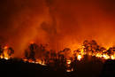 El fuego ha arrasado m&aacute;s de 500 hect&aacute;reas.