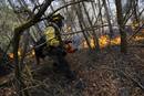 El fuego ha arrasado ya m&aacute;s de 700 hect&aacute;reas.