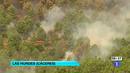 Ir al Video&nbsp;El fuego de Las Hurdes se encuentra "estabilizado"
