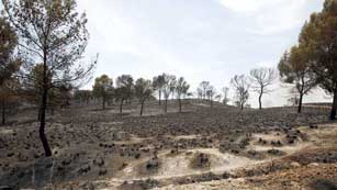 Ver v&iacute;deo  'El fuego tambi&eacute;n quema la tierra de Murcia y Albacete'