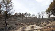 Ir al Video&nbsp;El fuego tambi&eacute;n quema la tierra de Murcia y Albacete