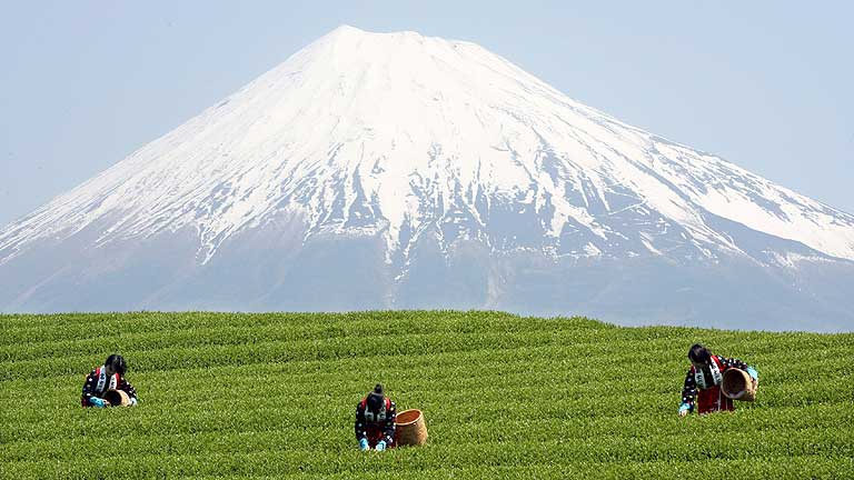 El monte Fuji, patrimonio de la humanidad