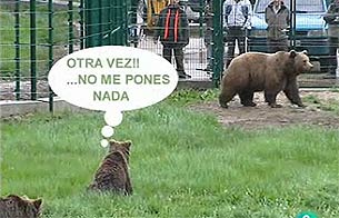 Ver v&iacute;deo  'Furaco, Paca y Tola, un tr&iacute;o imposible'