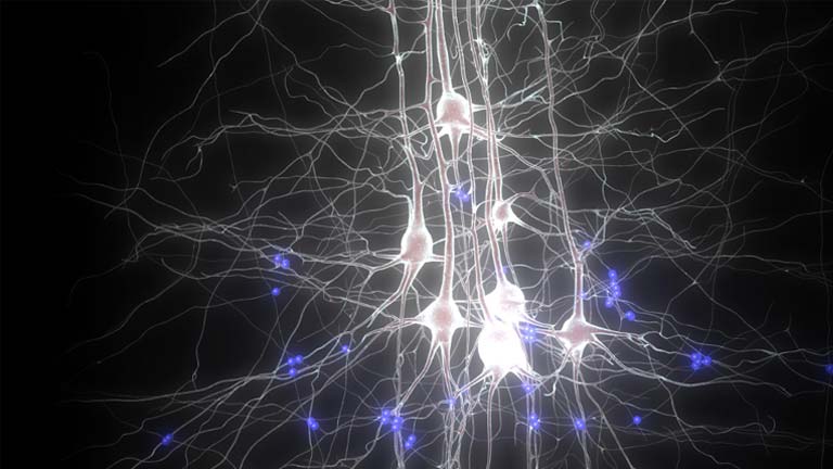 Proyecto Cerebro Global - Futuro de la neurociencia