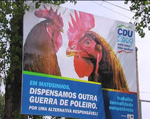 Cartel contra las peleas de gallos en la UE. Cartel contra las peleas de gallos en la UE.