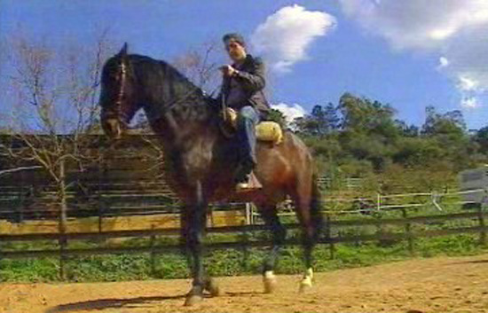 Espa&ntilde;a Directo - A galope por la sierra de Huelva