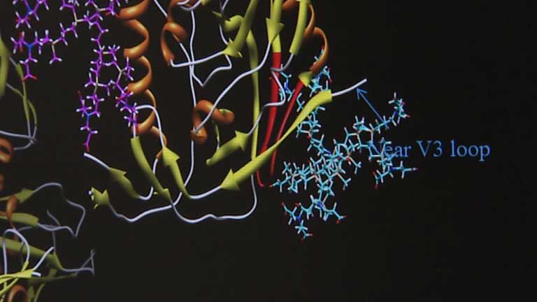 Investigan un gel que podr&iacute;a evitar la infecci&oacute;n del virus del SIDA