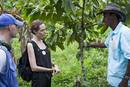 Angelina Jolie trabaja para ACNUR